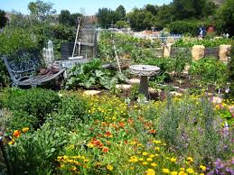 While some might be happy that there's less risk of being stung, the truth is that bees are essential for. Bee Garden In The Emerson Community Garden Seasonal Bee Gardening Uc Berkeley Urban Bee Lab Bee Garden Bee Friendly Garden Bee Garden Design