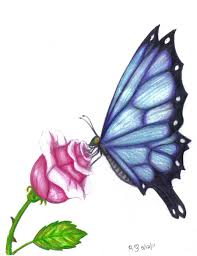 Butterfly Rose By Evolra On Deviantart Butterfly Drawing Images Colorful Drawings Flower Sketches Who would have believed that such beautiful creatures as butterflies belong to the same species as those that are feared by most people?