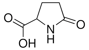 2-Pyrrolidone-5-carboxylic acid 99 149-87-1