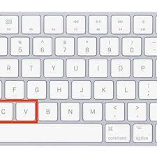 Tap or click on the touchpad with two fingers once again. How To Copy And Paste On A Mac Macrumors
