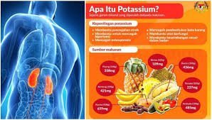 Check spelling or type a new query. Senarai Makanan Tinggi Potassium Pesakit Buah Pinggang Kena Elakkan