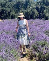 Can T Get Enough Of Lavenders Cherry Valley Highland Springs Lavender