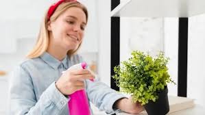 Ada begitu banyak produk anti hama yang bisa anda gunakan untuk menyemprot sarang tawon tersebut. 5 Cara Sederhana Menghilangkan Hama Di Tanaman Hias