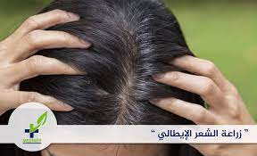 زراعة الشعر الإيطالي