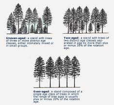 Interview With Keith Thompson