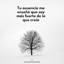 Frases Para Quien No Te Supo Valorar Con Imagenes Cosasdespuesdelamor