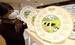 The romantic prospects for the pig seems a little shaky this year. Talk Talk Korea