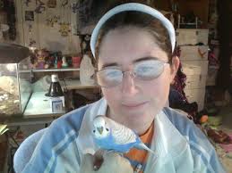 SKOL and his Foster brothers, Tiny and Jeepers