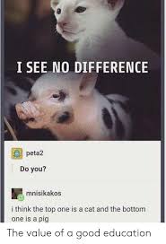Check spelling or type a new query. 25 Best Memes About I See No Difference I See No Difference Memes