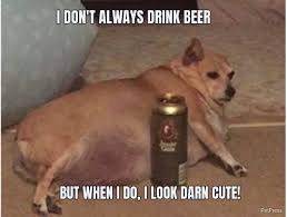 See more of dog memes on facebook. Fat Dog Drinks Beer Petpress