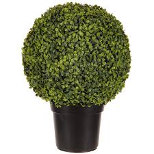 Check spelling or type a new query. Boxwood Round Topiary Hobby Lobby 1234889