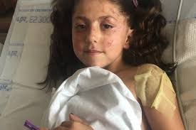 Fundraiser by Michelle Tayyar : Family Expenses