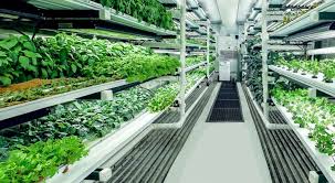 15 Stats About Hydroponic System Costs By Pure Greens Arizona Llc Medium