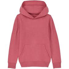 Stanley Stella Young Adults Mini Cruiser Iconic Hoodie Sweatshirt