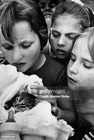 198 Lynne Greene Stock Photos, High-Res Pictures, and Images