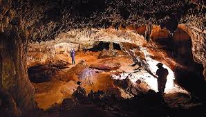 Resultado de imagen de fosiles de atapuerca