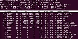 How To List Running Processes In Linux {Using Different Commands}