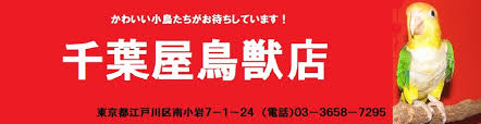 千葉屋鳥獣店ホームページ お知らせ