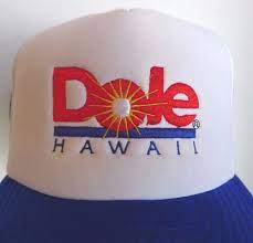 Dole Hawaii Truckers Hat Snap Back Foam Mesh Blue White Embroidered Logo Vintage Ebay Vintage Logo Embroidered Logo Blue And White