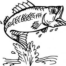 Bass Fish Outline Coloring Pages Best Place To Color Fish Coloring Page Coloring Pages Fish Outline