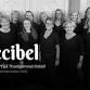 Christmas concert with Decibel at Thorbjørnrud event image