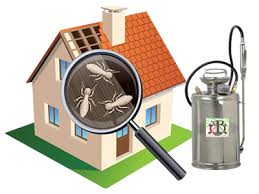 Parmeshwar manohar dahiphale shubham pest control services adarsh nagar,dighi, pune. Pest Control Services In Pune Biochem Pest Control