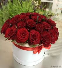 Carmine Surprise Flowers Beautiful Flowers Flower Delivery