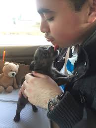 Dixie loves her baby