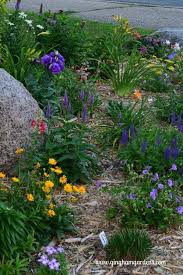 July Flower Garden Tour With Images Beautiful Flowers Garden Urban Garden Flower Garden Pictures