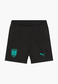 Öfb) is the governing body of football in austria. Puma Osterreich Ofb Training Zip Pockets Sports Shorts Black Blue Turquoise Black Zalando Ie