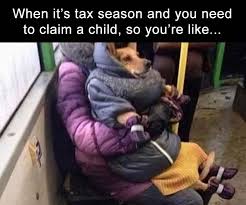 Funny Pictures Of The Day 34 Pics Funny Pictures Memes Taxes Humor