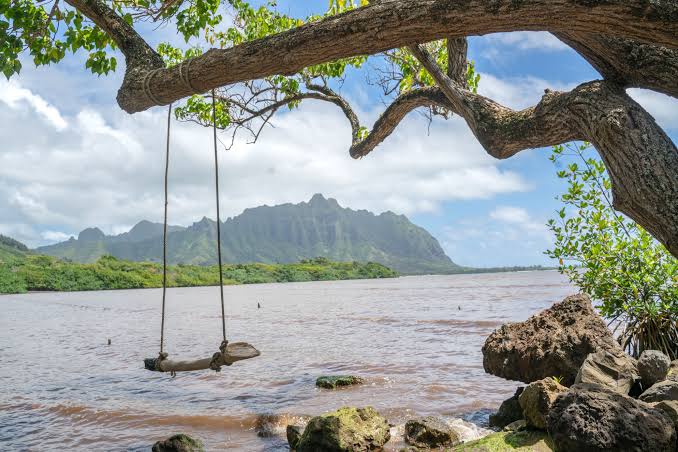 Hanalei Bay Photos, Download The BEST Free Hanalei Bay Stock Photos & HD Images
