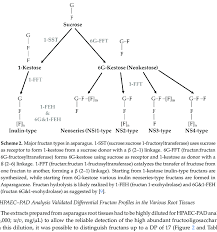 Maybe you would like to learn more about one of these? Oligosaccharide Distribution Patterns Obtained By Maldi Msi Shown Is A Download Scientific Diagram