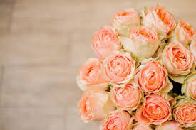 اجمل بوكيه ورد طبيعي خلفيات ورد طبيعي zina blog pink out color classic blue