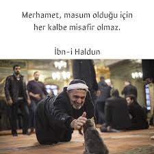 merhamet masum oldugu icin her kalbe misafir olmaz ibn i haldun kaynak instagram neokumali sozler anla ozlu sozler ilham verici sozler guzel soz