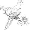 Polish your personal project or design with these dove transparent png images, make it even more personalized and more attractive. 1
