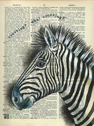 Zebra Crossing What Crossing Zebra Drawing Colour Pencil Shading Zebra
