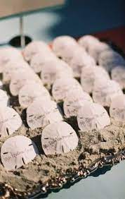 Target.com has been visited by 1m+ users in the past month 200 Diy Beach Wedding Ideas Inspiration Beach Wedding Decorations Beach Wedding Wedding Decorations