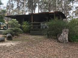 The inviting town boasts a prized location in the gippsland region, spotted on the edge of ninety mile beach where gippsland lakes merges with the southern ocean. Immature Pied Butcherbird Picture Of Lakes Entrance Log Cabins Tripadvisor