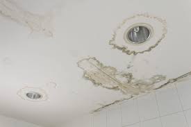 Water damaged ceilings can weaken your house's foundation and can even be a threat to your health because of mold growth. How To Fix Ceiling Water Stains