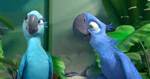Jesse eisenberg, anne hathaway, andy garcía, rachel crow, amandla stenberg, pierce gagnon, jemaine clement, george lopez, will.i.am, jamie foxx, kristin chenoweth and tracy morgan reprise their roles. Blue Macaw Parrot That Inspired Rio Is Now Officially Extinct In The Wild Cbs News