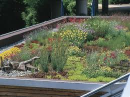 Pin Auf Techos Verdes O Ecologicos