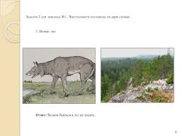 что значит пословица волков бояться в лес не ходить Viktorina Poslovicy I Pogovorki Russkogo Naroda Prezentaciya Prezentaciya Doklad