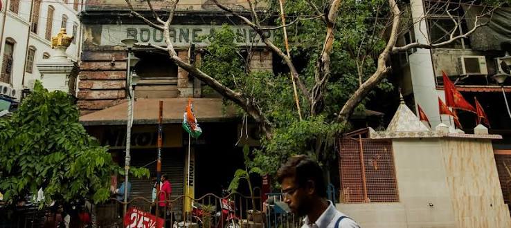 Everyone is bemoaning the death of world's oldest photo studio – except its owner