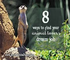 8 Ways For Animal Lovers To Find A Dream Job Jobs With Animals Animal Lover Dream Job