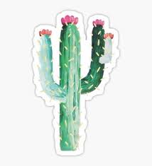 Find illustrations of watercolor cactus. Cactus Stickers In 2021 Cactus Art Cute Wallpapers Iphone Wallpaper