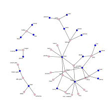 lessons on exponential random graph modeling from greys