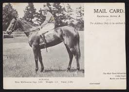 1904 Melbourne Cup Acrasia Melbourne Cup Horses Melbourne Cup Melbourne Cup Winners