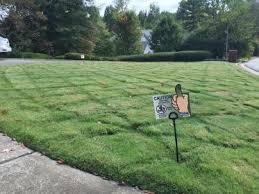 We like to think of ourselves as the #1 best termite and pest company in town. Local Lawn Care Columbus Ga Lawn Doctor Of Columbus Phenix City