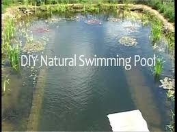 Diy Natural Swimming Pools Youtubehow To Build A Chemical Free Natural Swimming Pool For A Diy Swimming Pool Natural Swimming Pools Amazing Swimming Pools